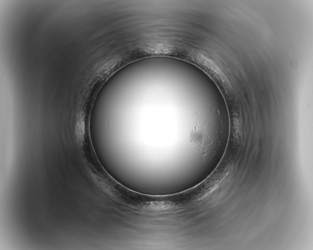 X0000096490541200801241507