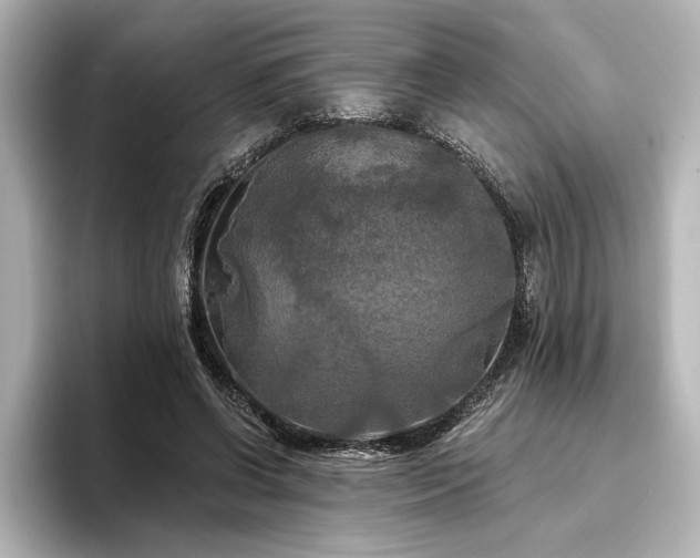 X0000096490542200801241507