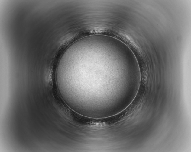 X0000096490543200801241507