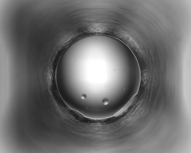 X0000096490544200801241507