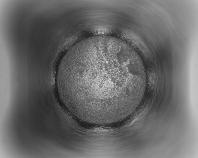 X0000096490545200801241507
