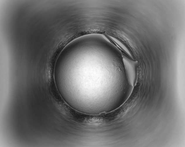 X0000096490546200801241507