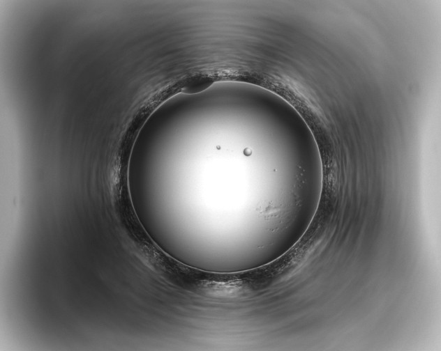X0000096490548200801241507