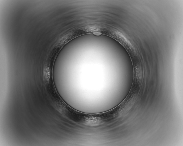 X0000096490549200801241507