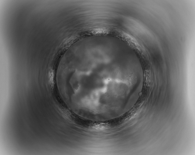 X0000096490550200801241507