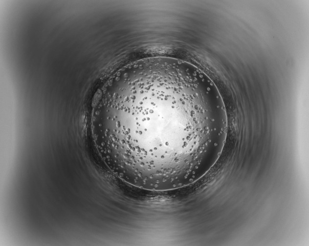 X0000096490551200801241507