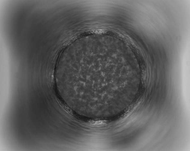 X0000096490553200801241507