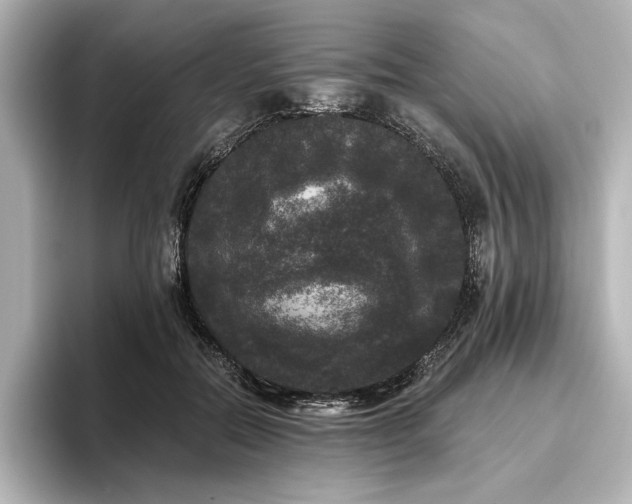 X0000096490554200801241507