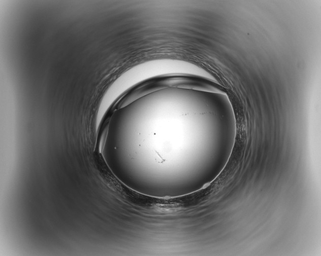 X0000096490556200801241507