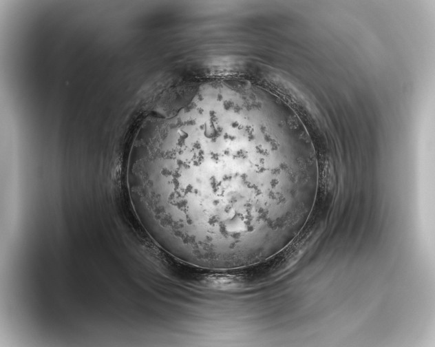 X0000096490557200801241507