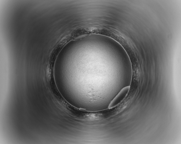 X0000096490558200801241507