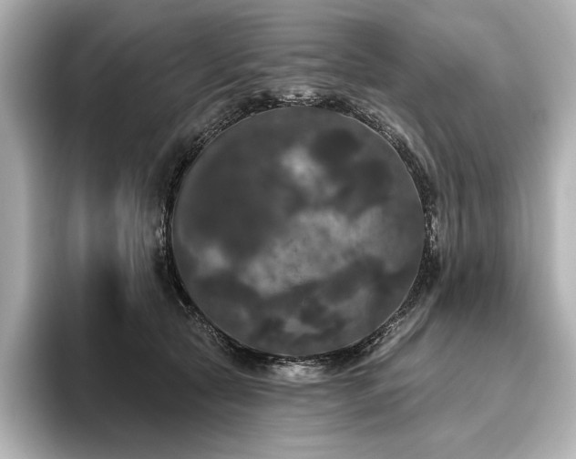 X0000096490561200801241507
