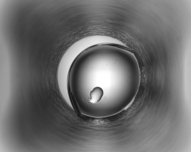 X0000096490562200801241507