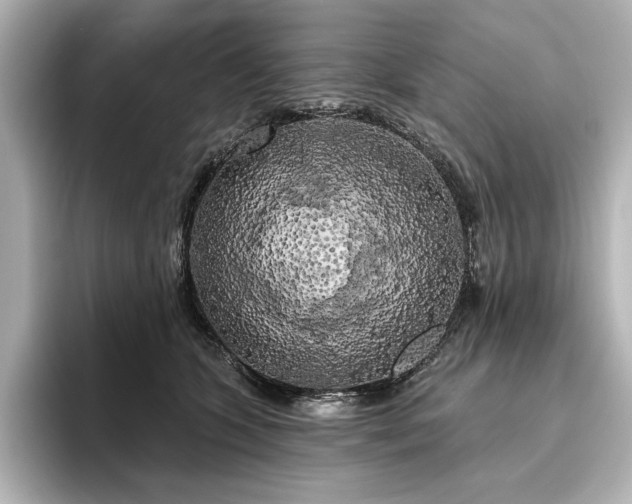 X0000096490563200801241507