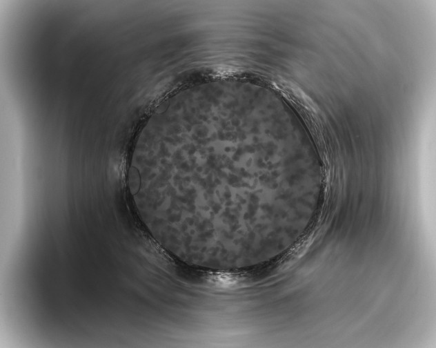 X0000096490565200801241507