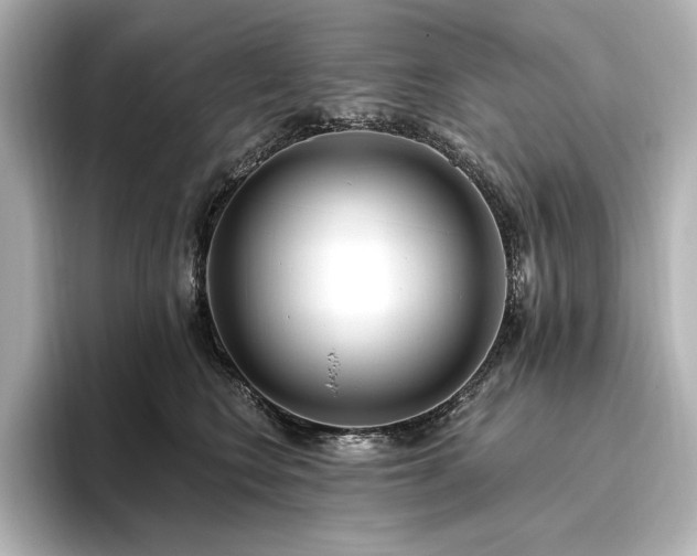 X0000096490566200801241507