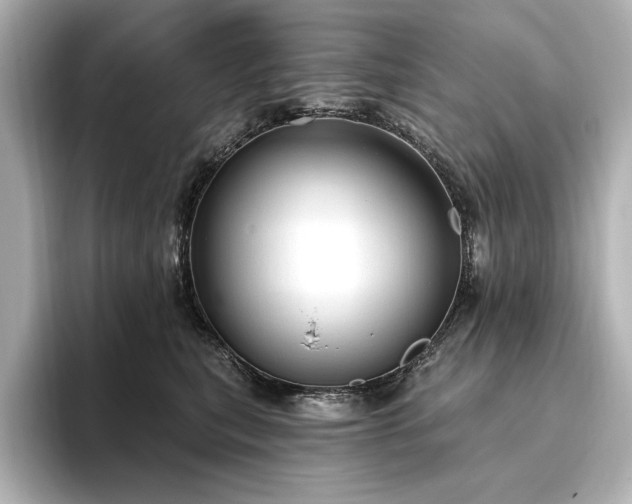 X0000096490567200801241507