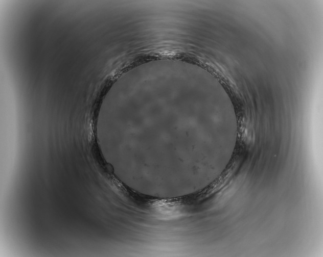 X0000096490568200801241507