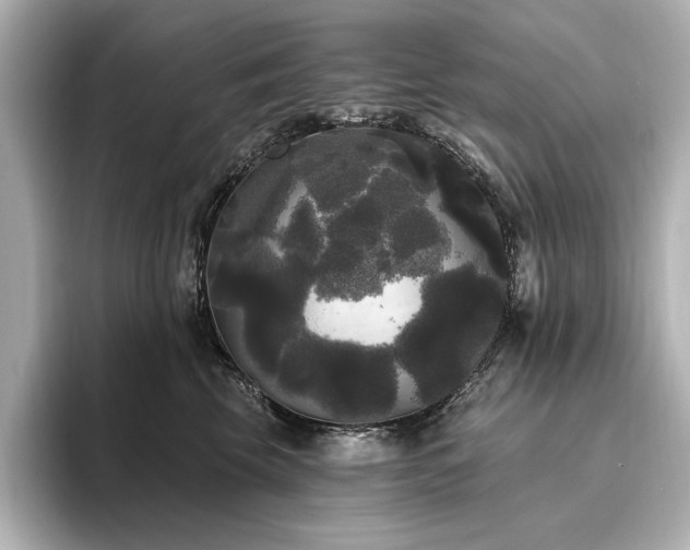X0000096490569200801241507