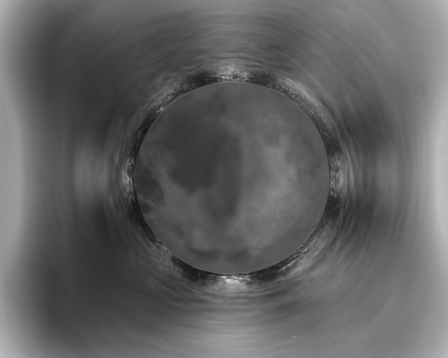 X0000096490573200801241507