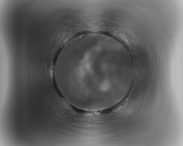 X0000096490576200801241507