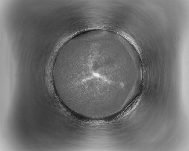 X0000096490577200801241507