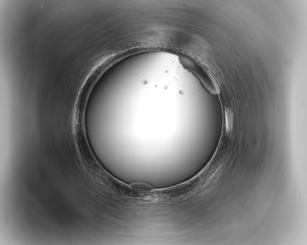 X0000096490579200801241507