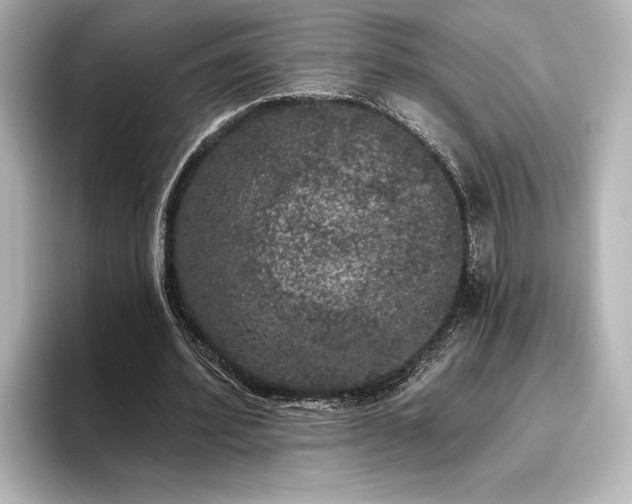X0000096490580200801241507