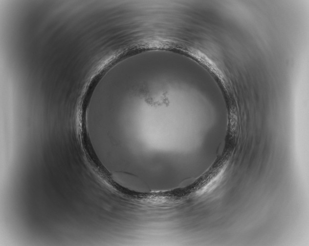 X0000096490581200801241507