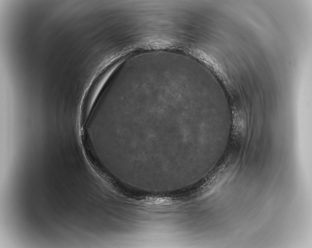X0000096490582200801241507