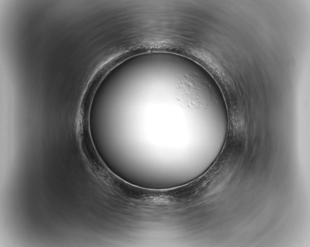X0000096490583200801241507