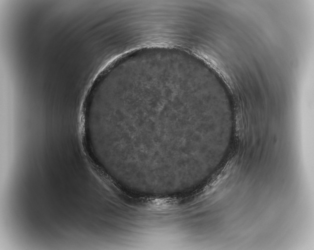 X0000096490584200801241507