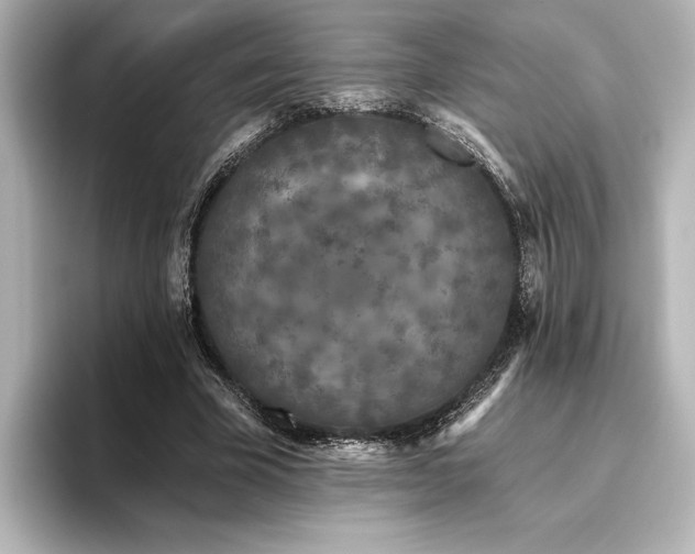 X0000096490585200801241507