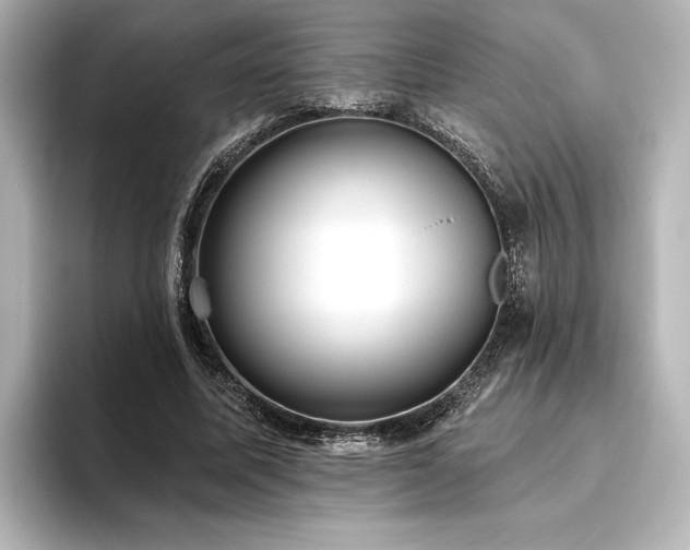 X0000096490587200801241507
