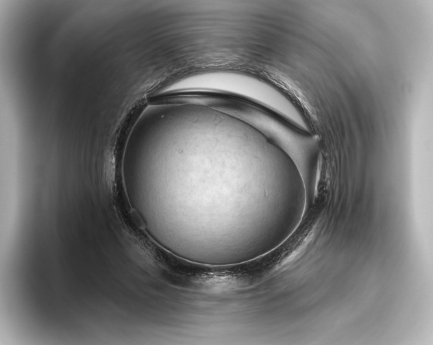 X0000096490589200801241506
