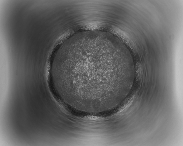 X0000096490590200801241506