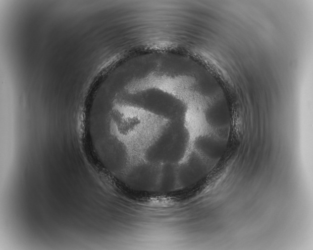 X0000096490591200801241506