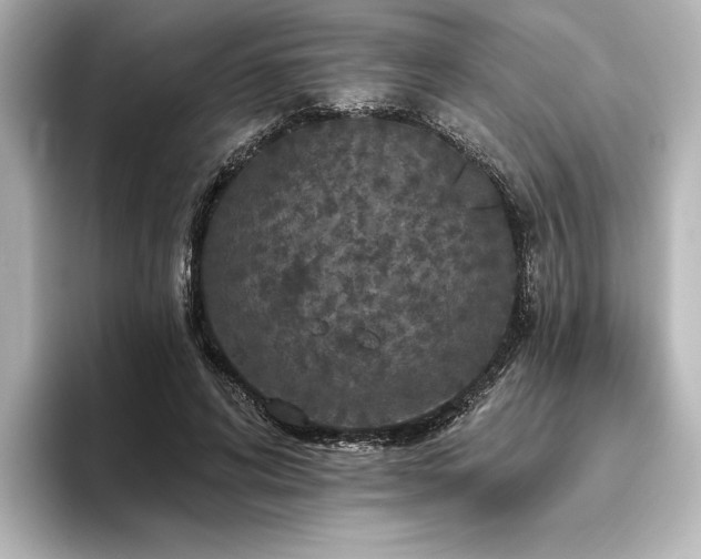 X0000096490592200801241506