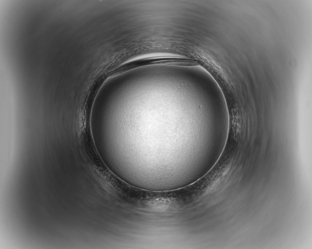 X0000096490593200801241506