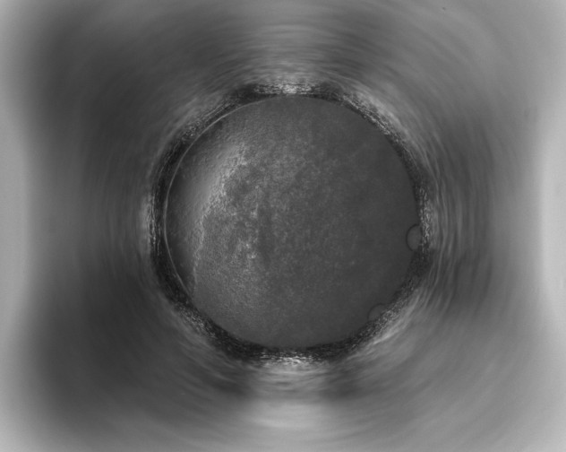 X0000096490594200801241506