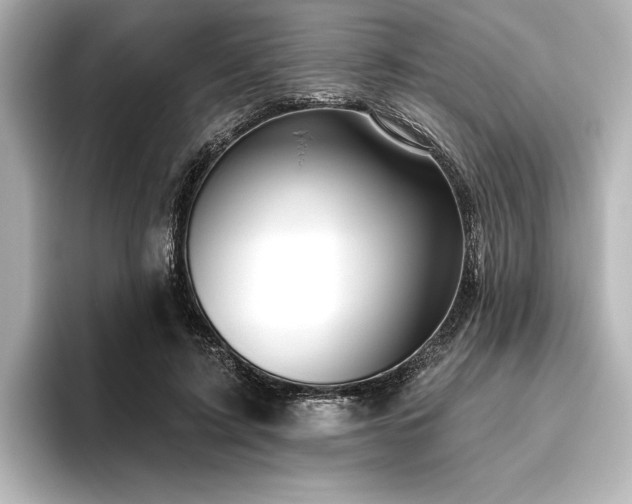 X0000096490595200801241506