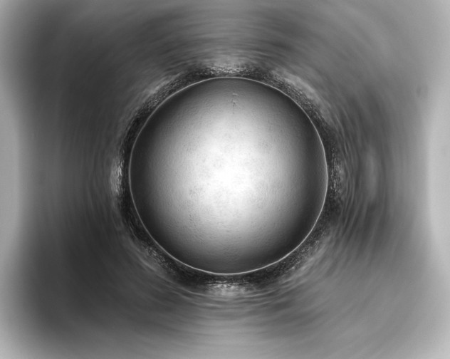 X0000096490596200801241506