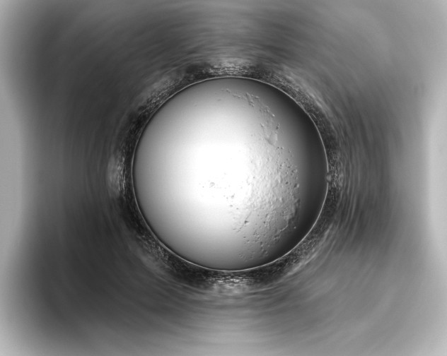 X0000096490599200801241506