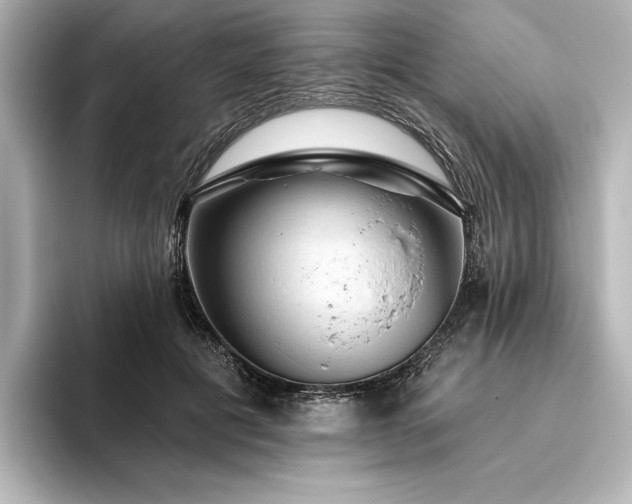 X0000096490601200801241506