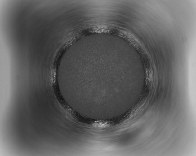 X0000096490602200801241506