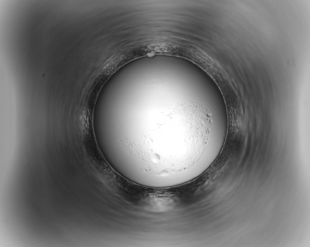 X0000096490603200801241506