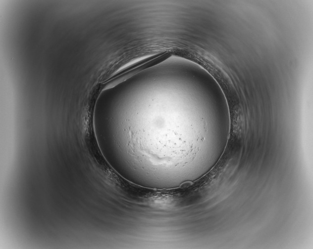 X0000096490604200801241506