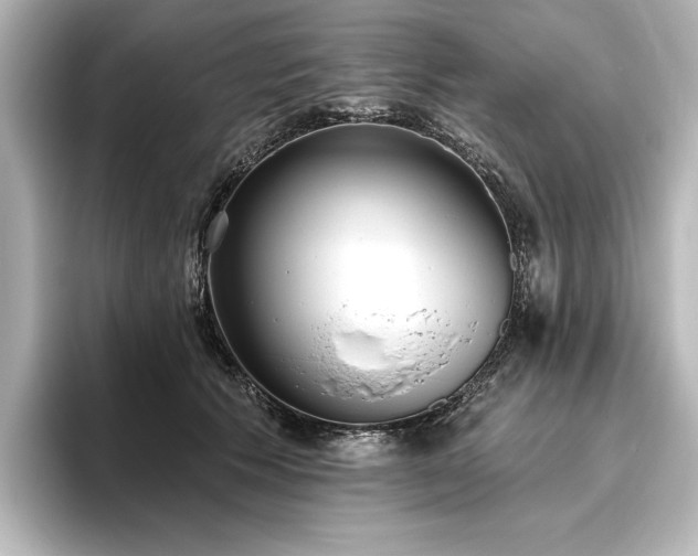 X0000096490609200801241506