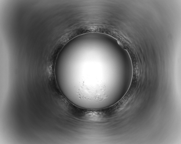 X0000096490611200801241506