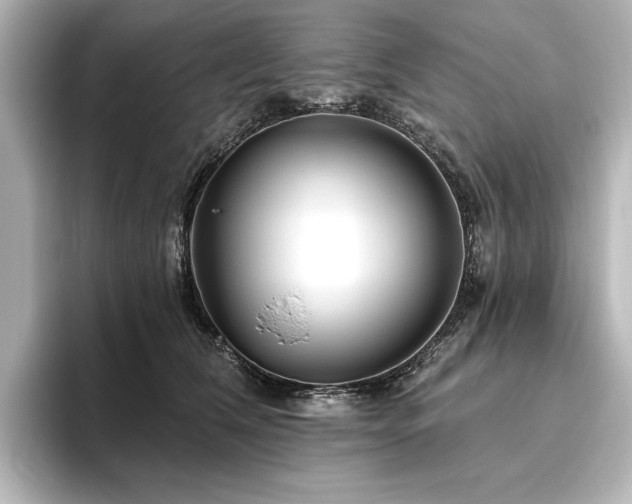 X0000096490612200801241506